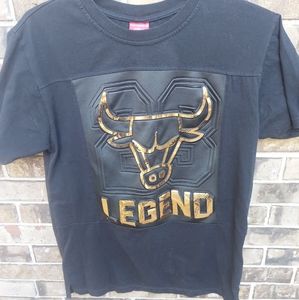 Men's Chicago Bulls Legend 23 Tshirt Size L